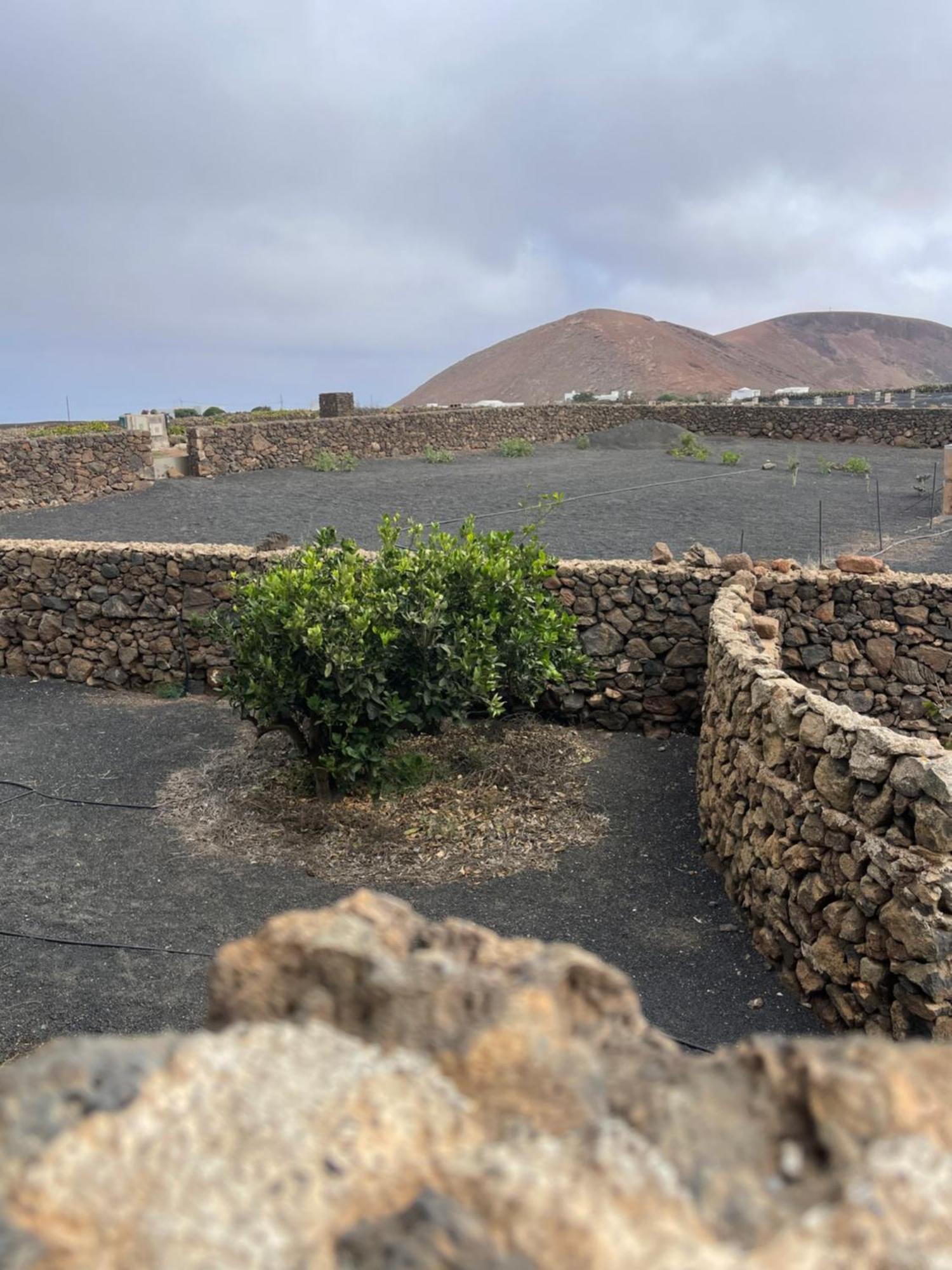 Villa Timanfaya 蒂纳霍 外观 照片