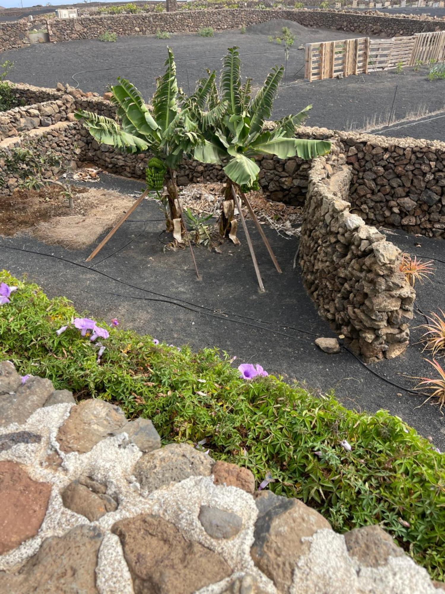 Villa Timanfaya 蒂纳霍 外观 照片