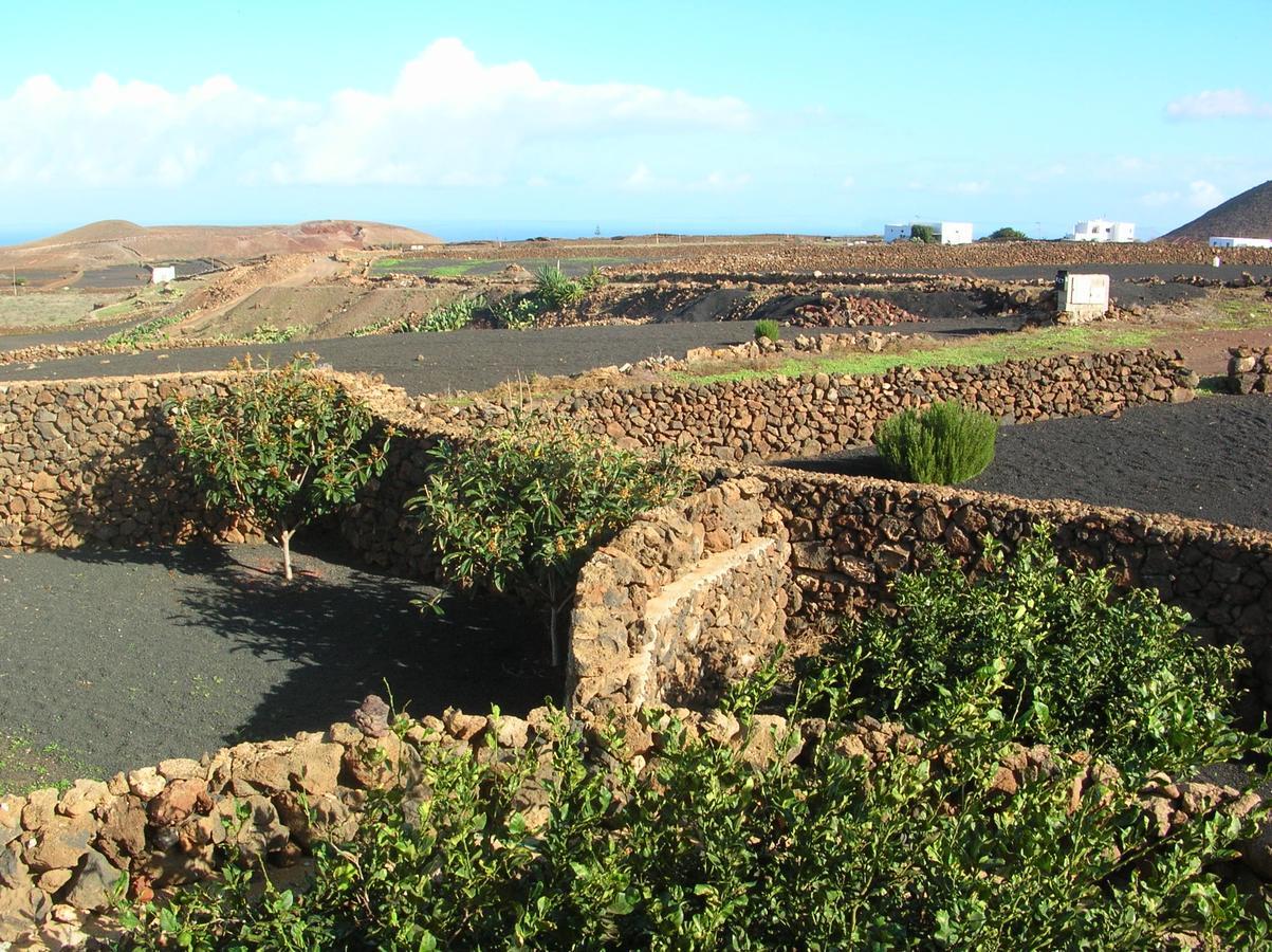 Villa Timanfaya 蒂纳霍 外观 照片